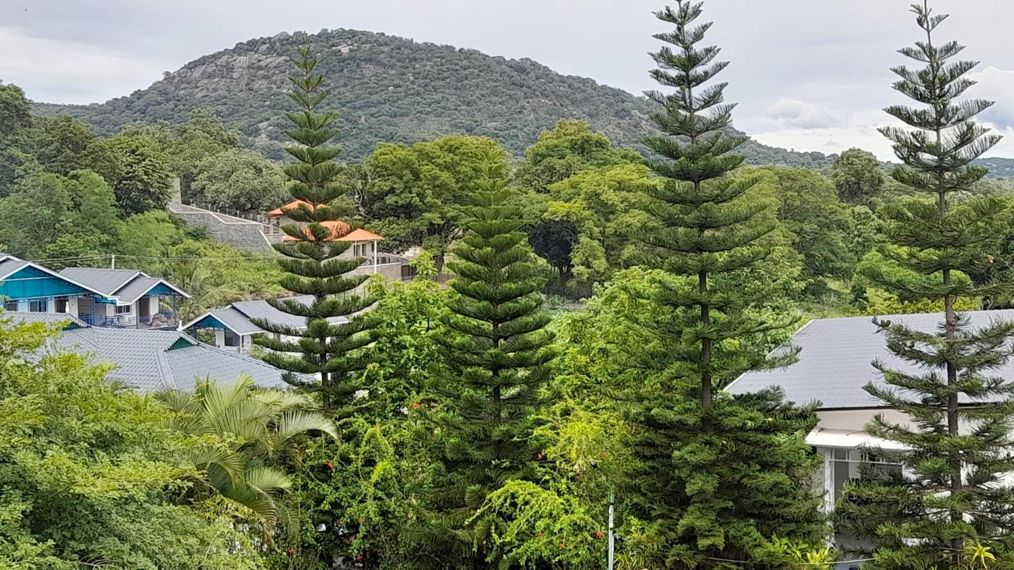 Mgm Whispering Wind'S Yelagiri Hotel Exterior photo